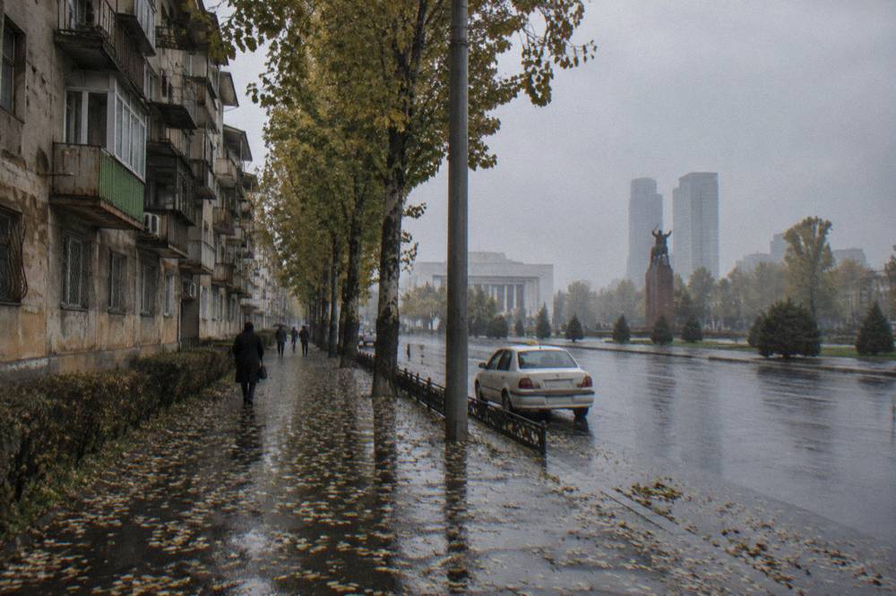 A Tashkent street with Soviet-era apartment blocks, trees and a distant modern skyline
