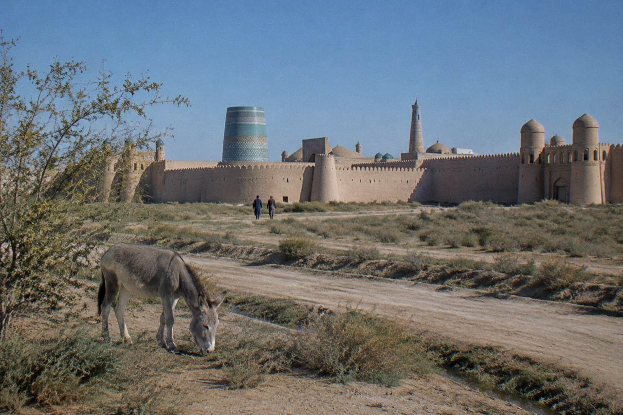 Ancient walled city with mud brick towers under a clear sky on the Uzbekistan steppe