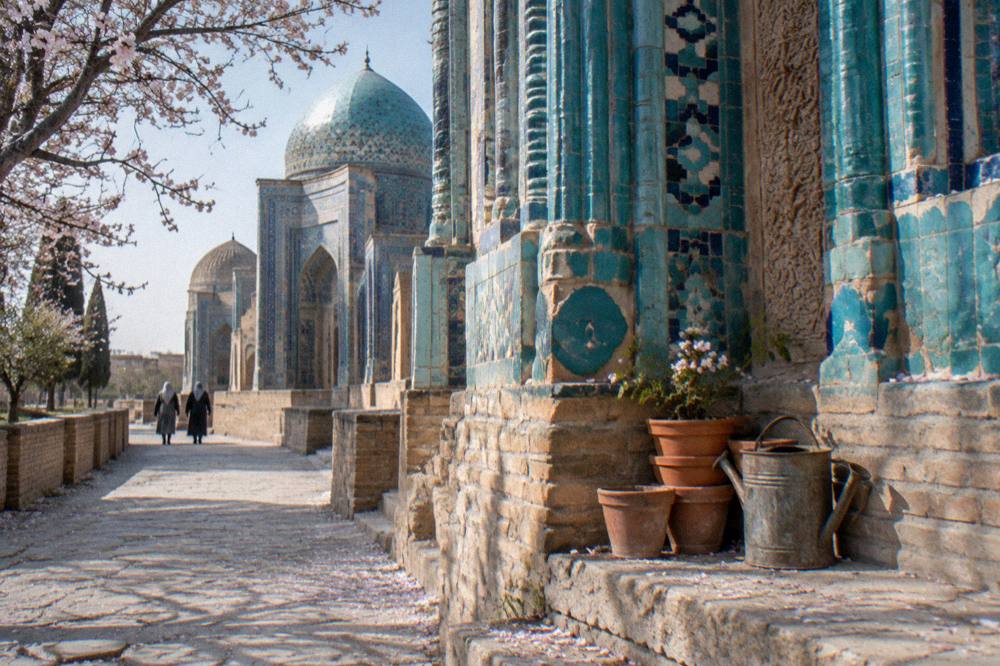 Spring sunlight on a turquoise tiled mosque facade with blossom trees nearby