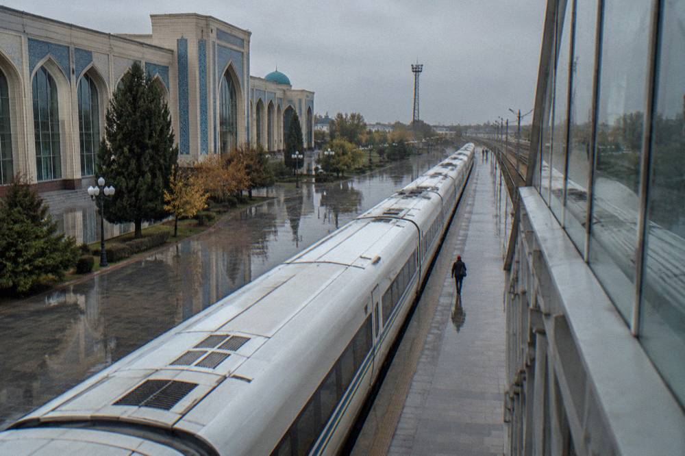 Modern high-speed train waiting at a station platform beside a tiled station facade